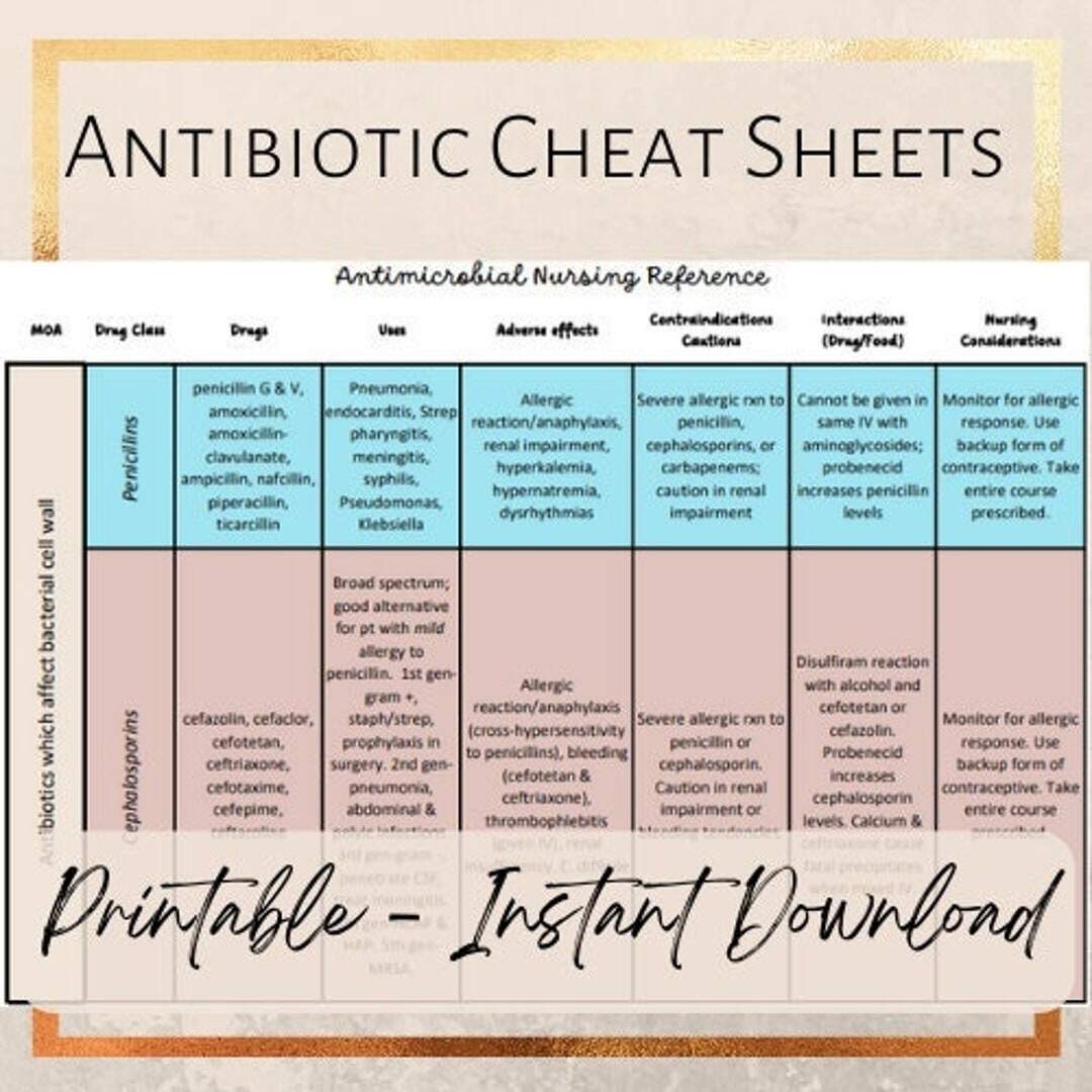 Bacterial Organisms And Antibiotic Treatment Chart Etsy