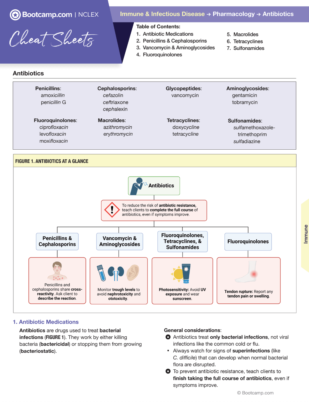 Antibiotics Cheat Sheet NCLEX Bootcamp