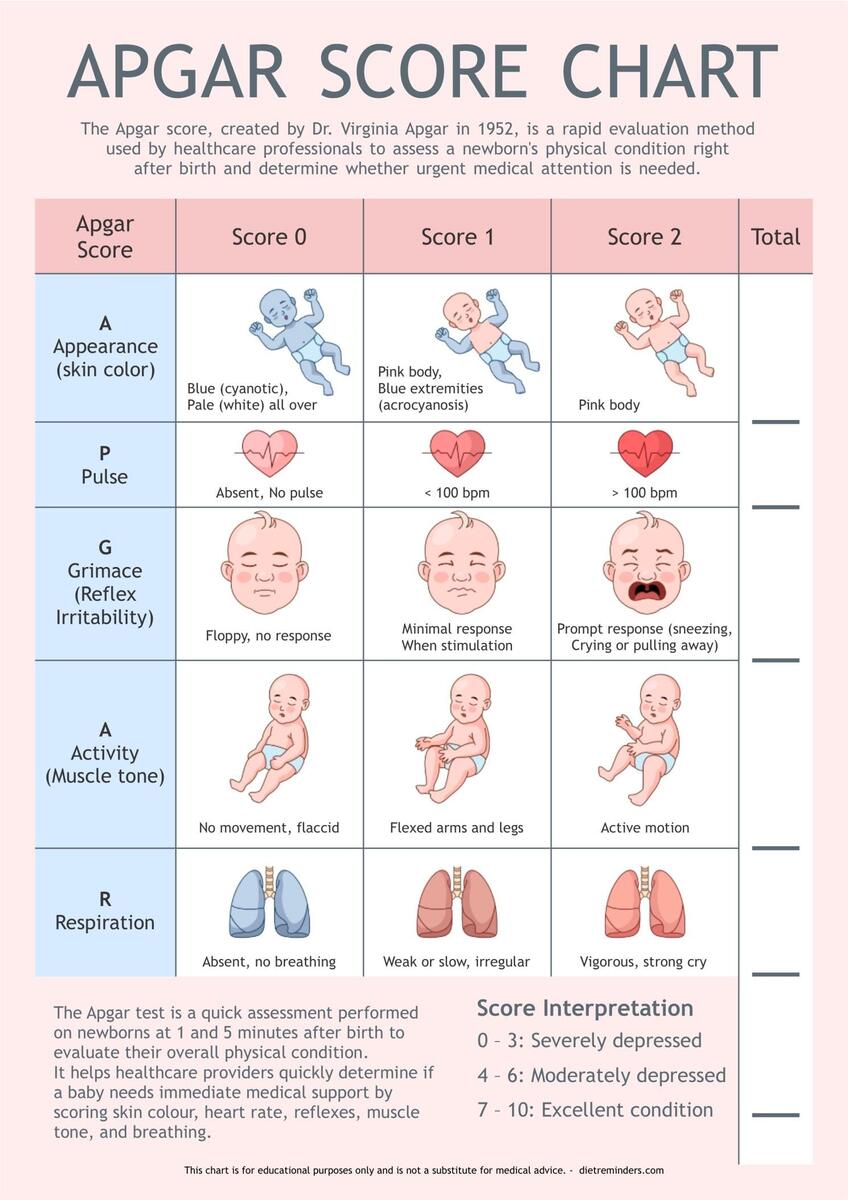 Printable Apgar Score Chart Www Lx Iriss Uk