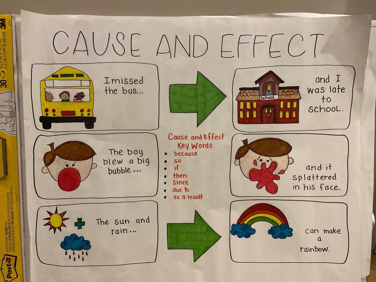 Cause And Effect Anchor Chart Etsy Denmark