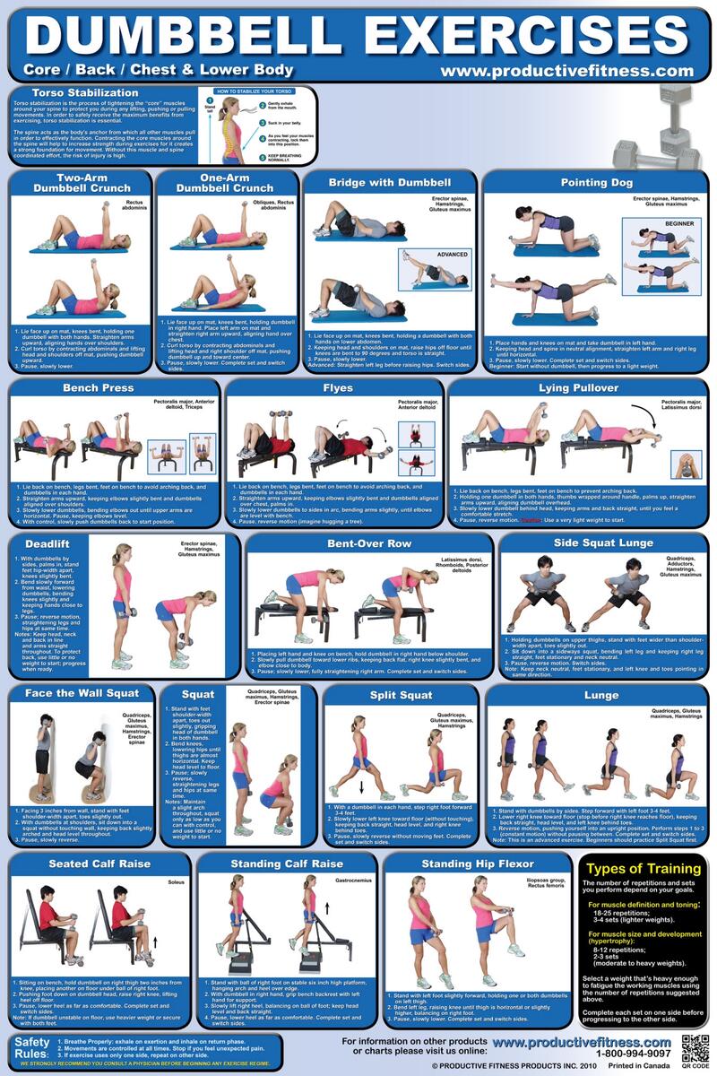 Printable Dumbbell Tricep Exercises Dumbbell Workout Chart Printable Pdf Pdf Gym Routine Chart