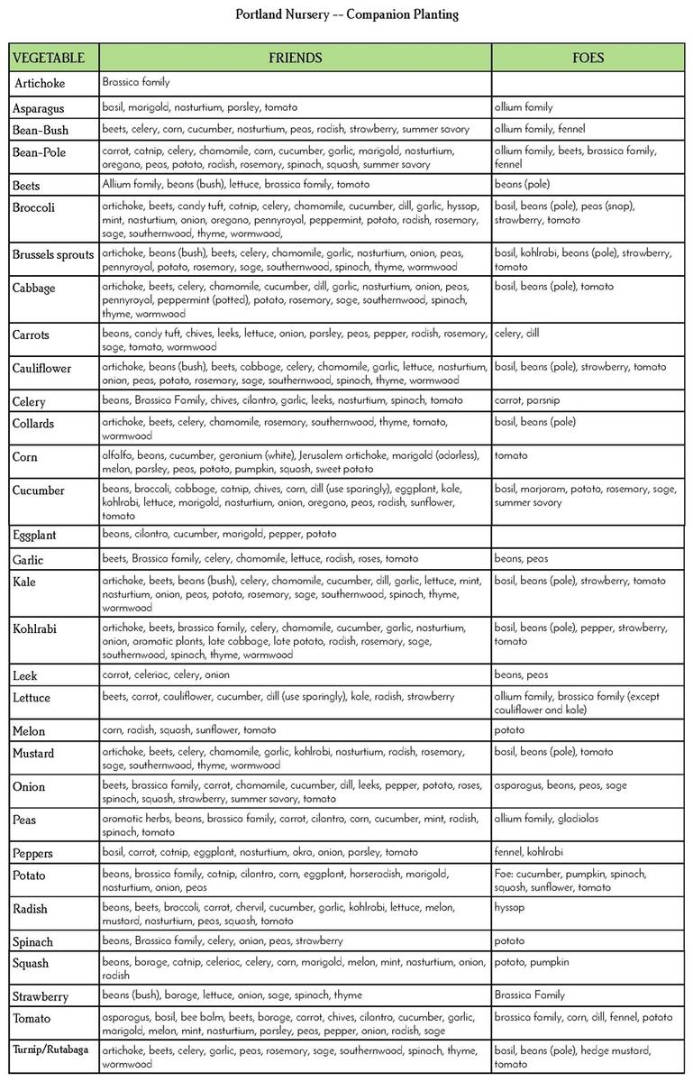 Companion Planting Portland Nursery
