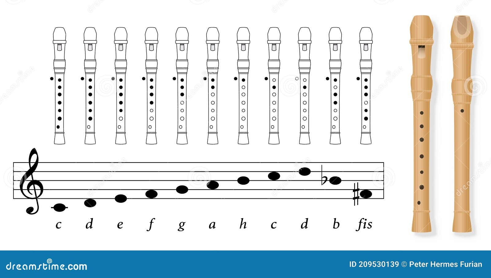 Fingering Chart Recorder Basic German Notation Flute Holes Tuned In C Stock Vector Illustration Of Back Blowing 209530139