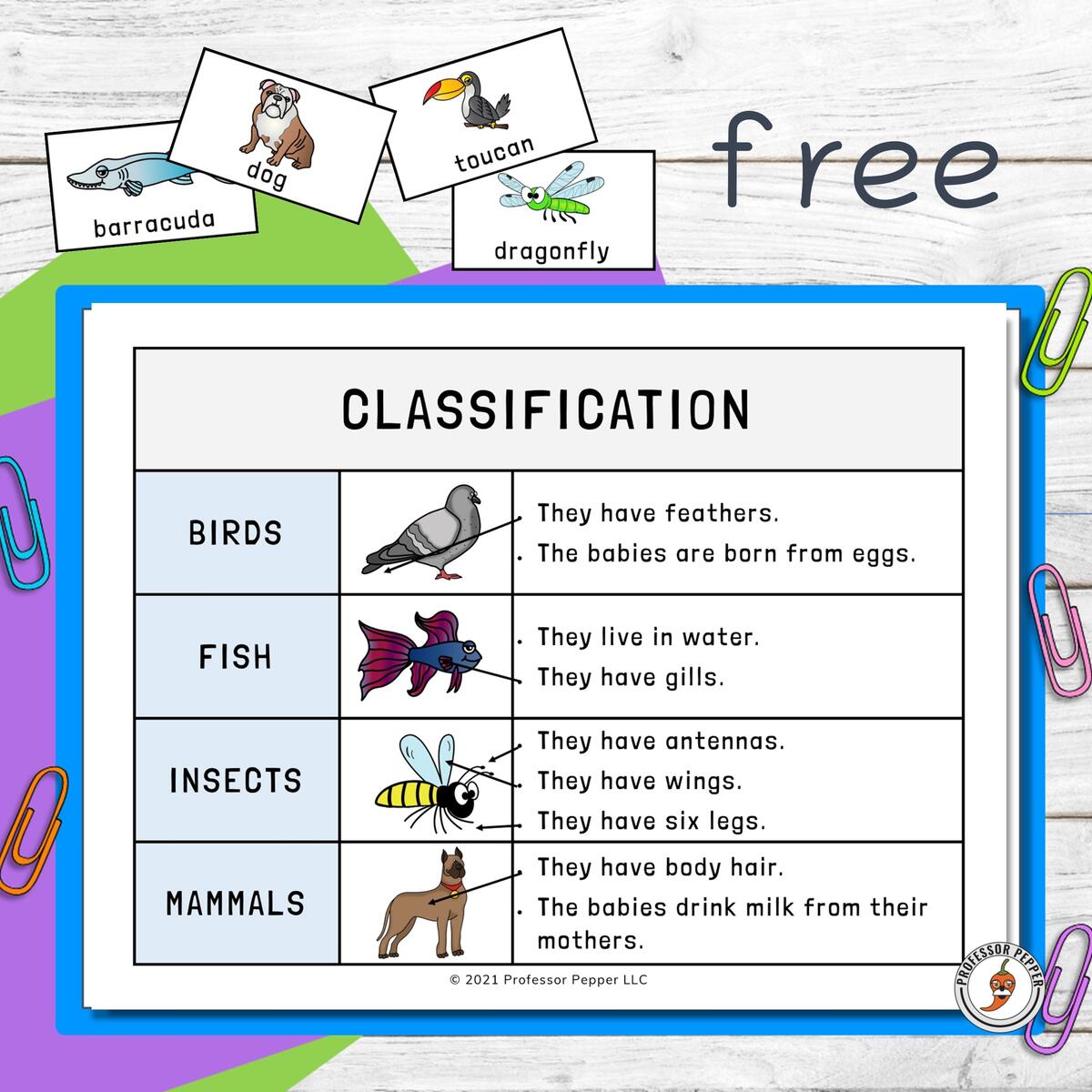 Free Animal Kingdom Classification Printable Professor Pepper