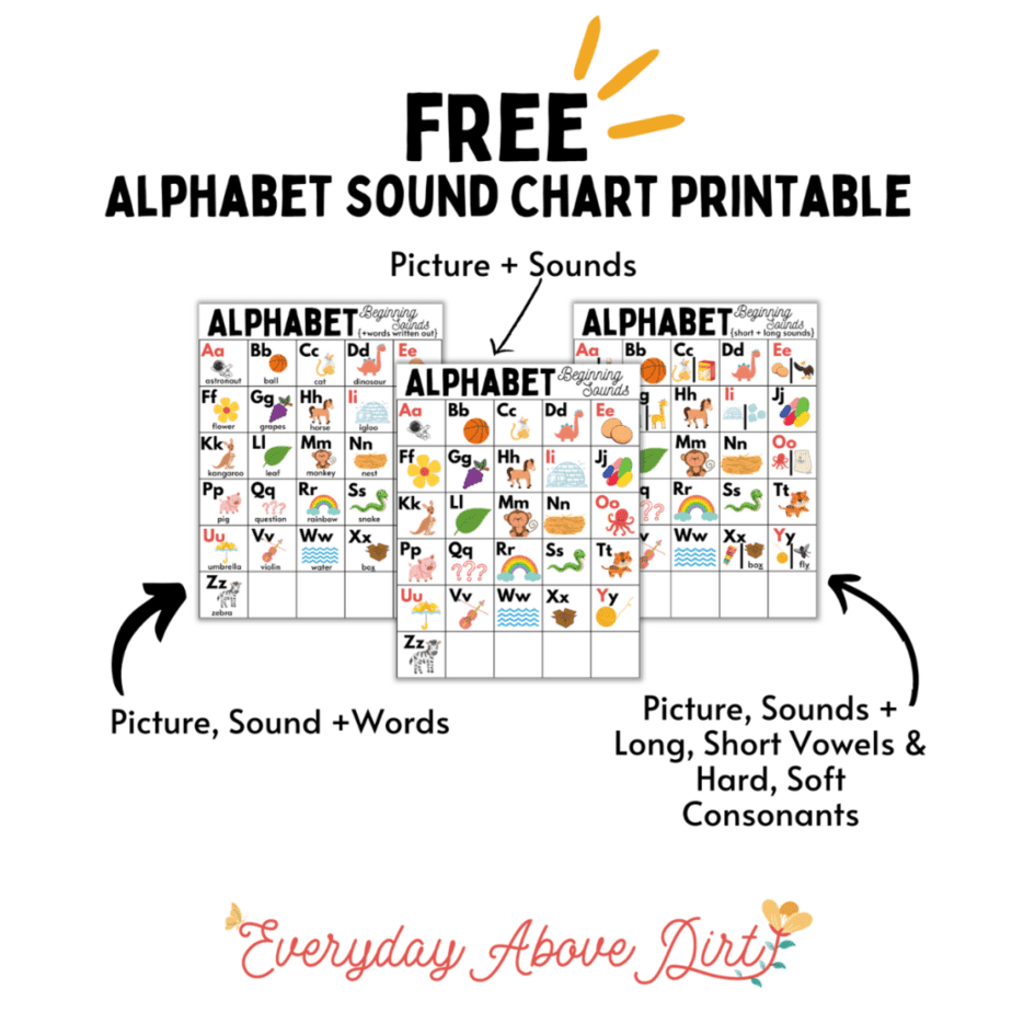 Phonics Reference Charts Letter Sounds Naomi O Brien Read Like A Rockstar