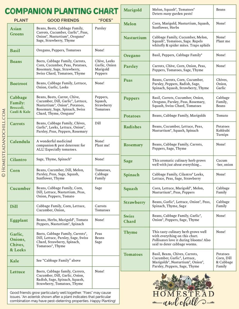 Companion Planting Portland Nursery