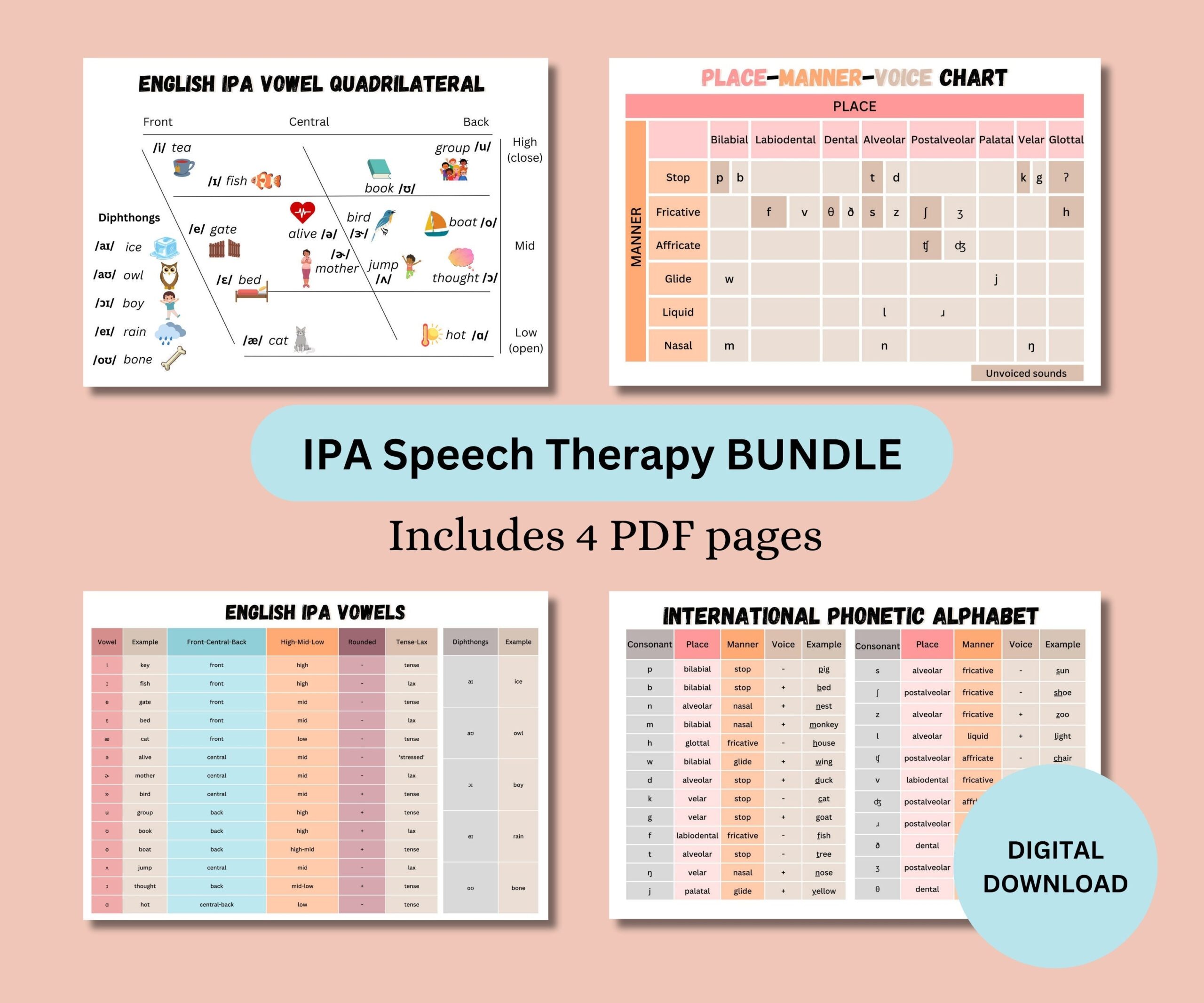 IPA Speech Therapy Bundle Set Of 4 PDF Consonants Vowels International Phonetic Alphabet Slp Educational Resource Study IPA Etsy