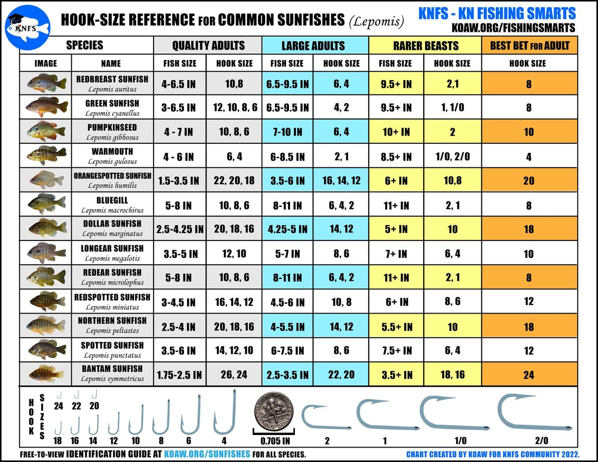 KNFS Free Hook Size Chart For Common Sunfishes Bluegill Longear Sunfish Green Sunfish Redear Sunfish And More Koaw Nature