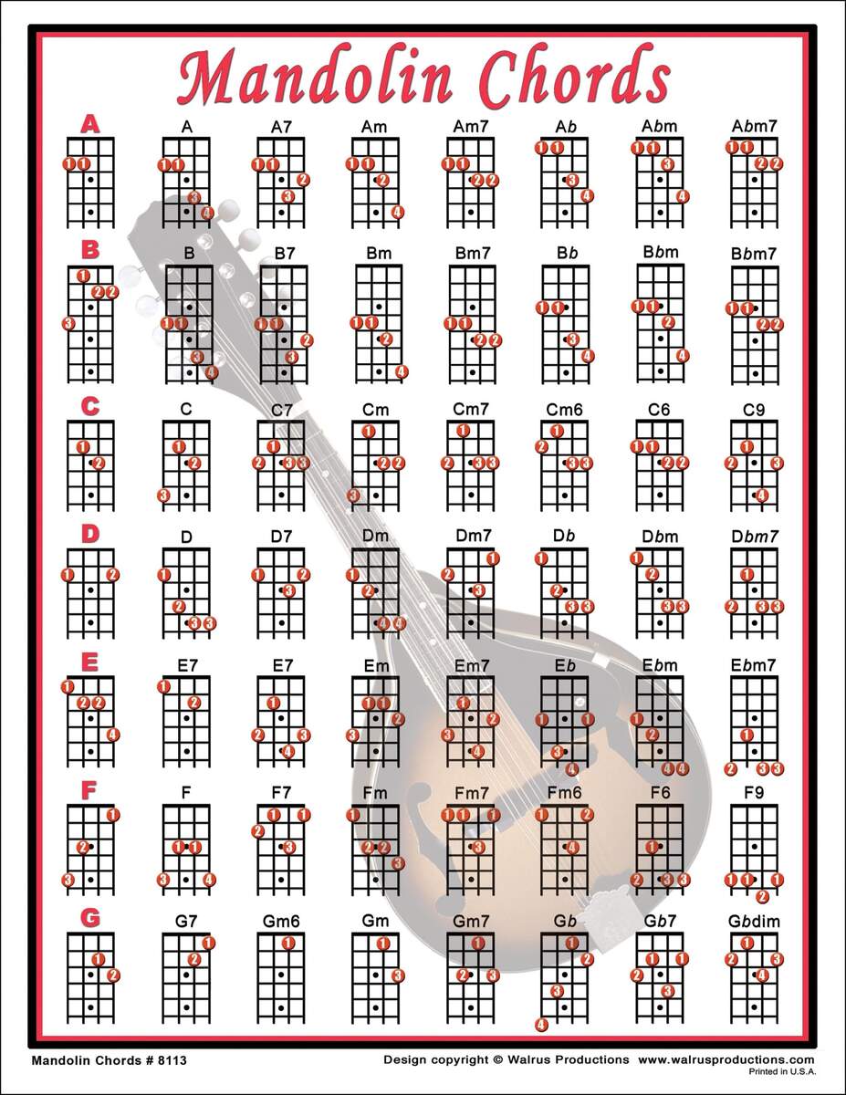Mandolin Chords Mini Chart Etsy