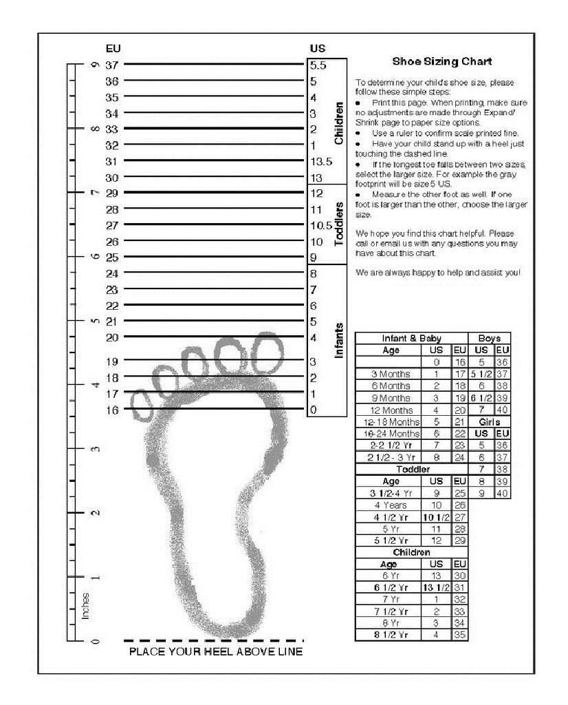 Printable Shoe Conversion Chart Adult Shoe Size Chart