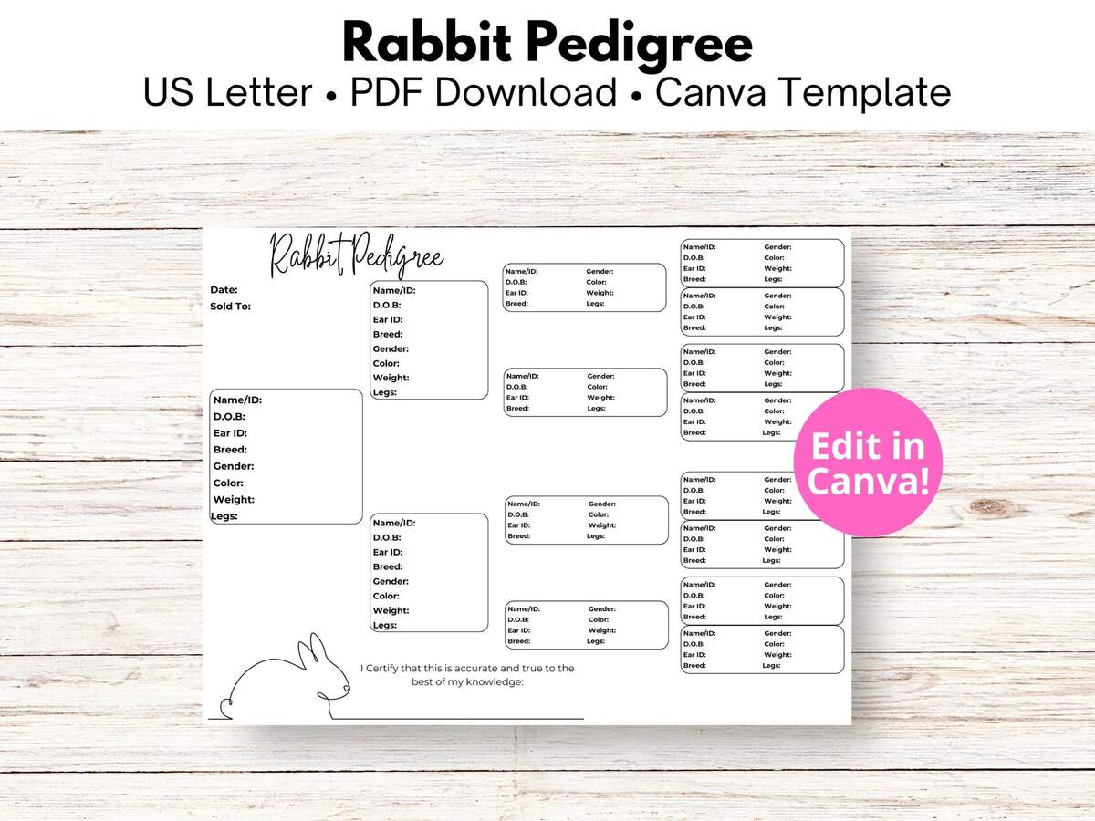 Rabbit Pedigree Chart Template Editable In Canva US Letter Size Instant Download DIY Bunny Genealogy Breeder Records Etsy