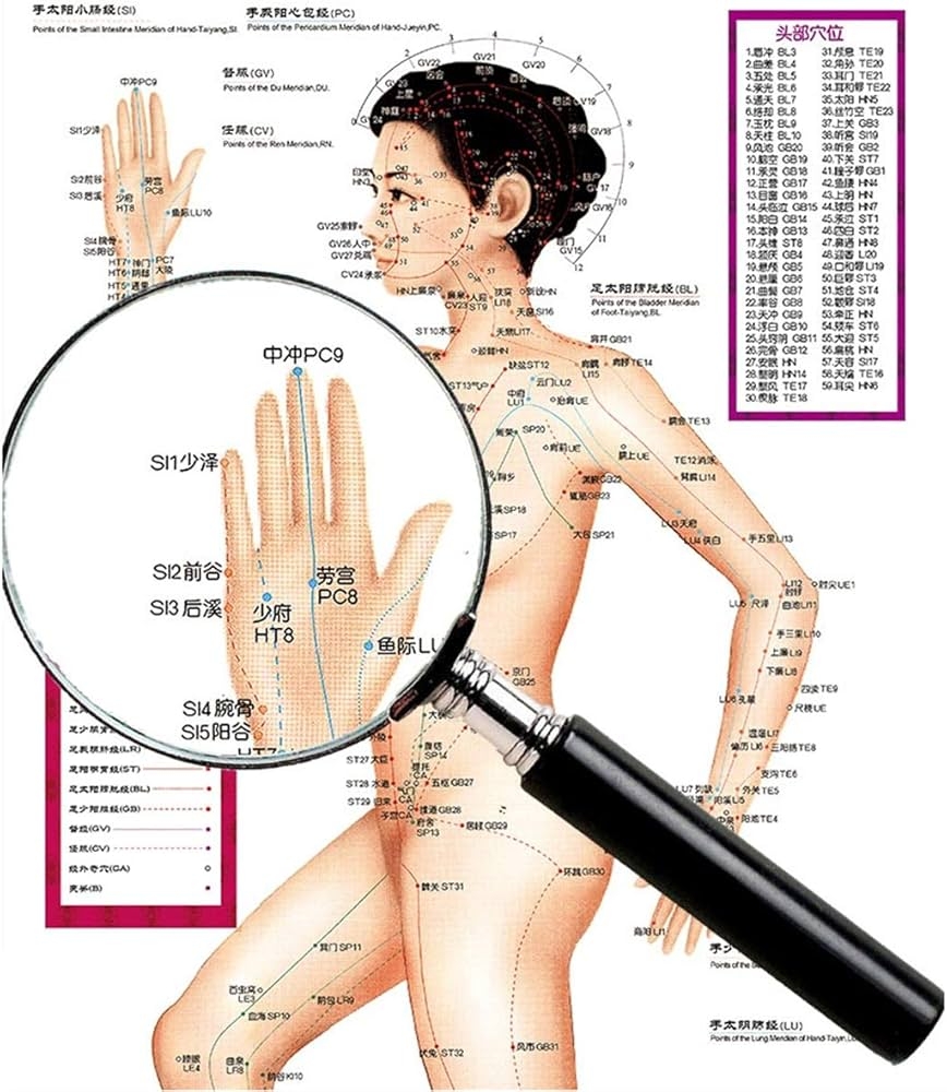 Zzooi Set Of 3 Human Body Acupuncture Point Figure Chinese Style Asian Oriental Rectangular Wall Art Art Print For Adults Framed Indoor Use 12x31Inch Silk Cloth 3 Count Amazon Ca Health