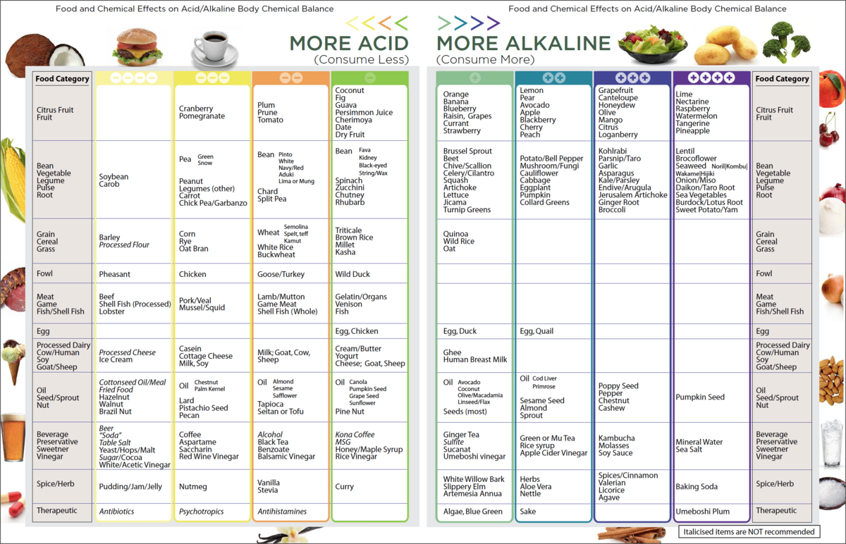 Alkaline List Acid Alkaline Food Chart Acid Reflux Grocery List For Gut Health Grocery List Stomach Cancer Gastritis GERD Diet List Etsy Israel