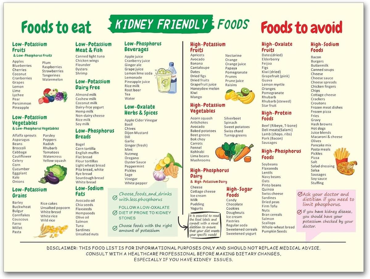 Renal Diet Food List Printable B W PDF Easy Kidney Friendly Foods Guide Digital Download Etsy New Zealand