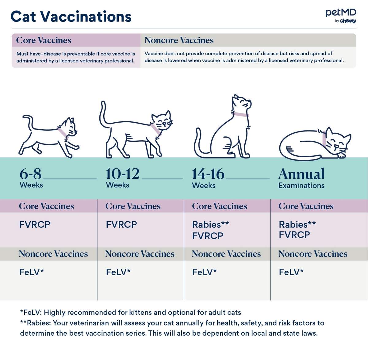 Best Important Vaccines For Cats Outlet