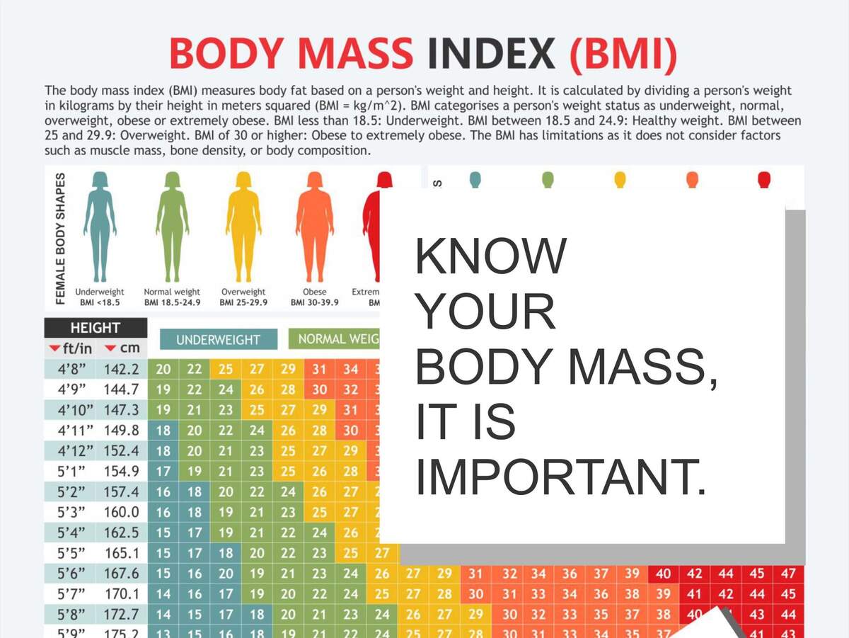 BMI Chart Height Weight Guide Printable A4 PDF Etsy