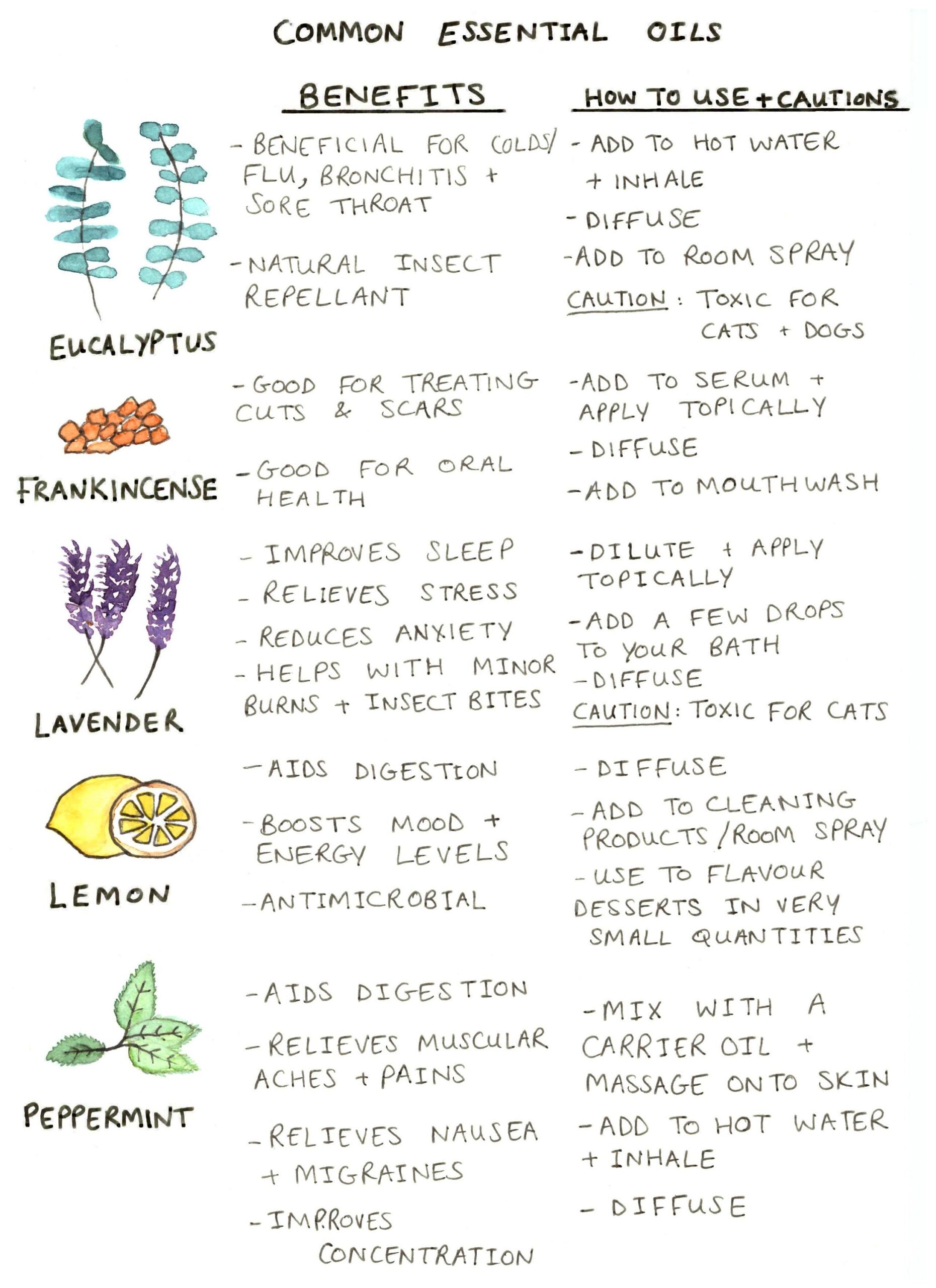 Essential Oils Quick Reference Chart Etsy
