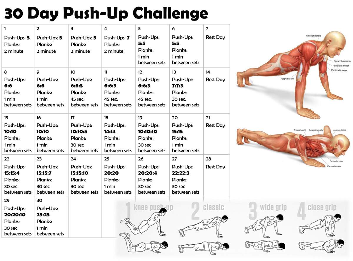 Fitness Push Up Weekly Plan Pdf Perfect Pushup Workout Chart 30 Day Challenge Push Up Workout