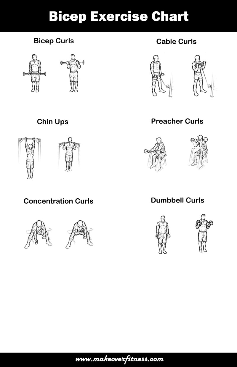 For Beginners Good Bicep Workout Routine Chart Best Bicep Workout Routine Biceps Workout Chart With Name