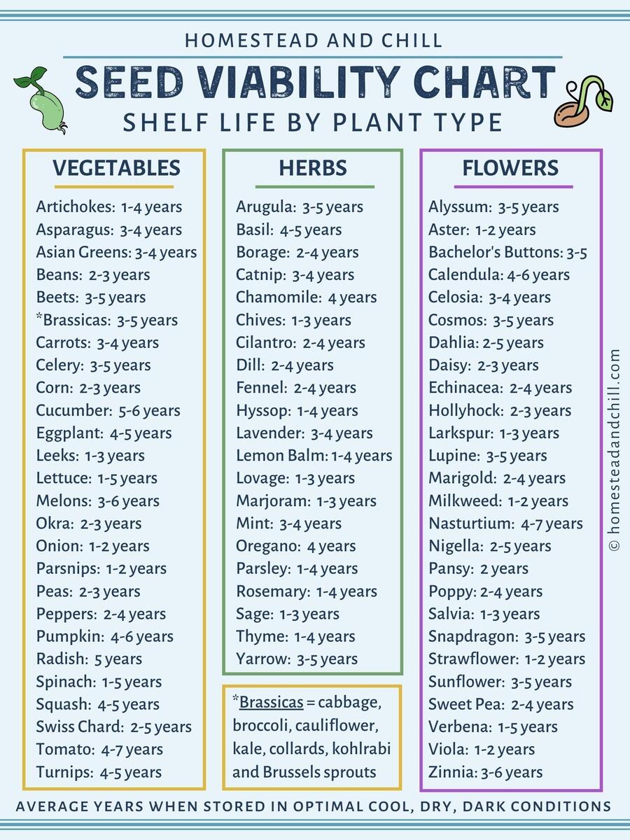 How Long Do Seeds Last Seed Viability Chart Homestead And Chill