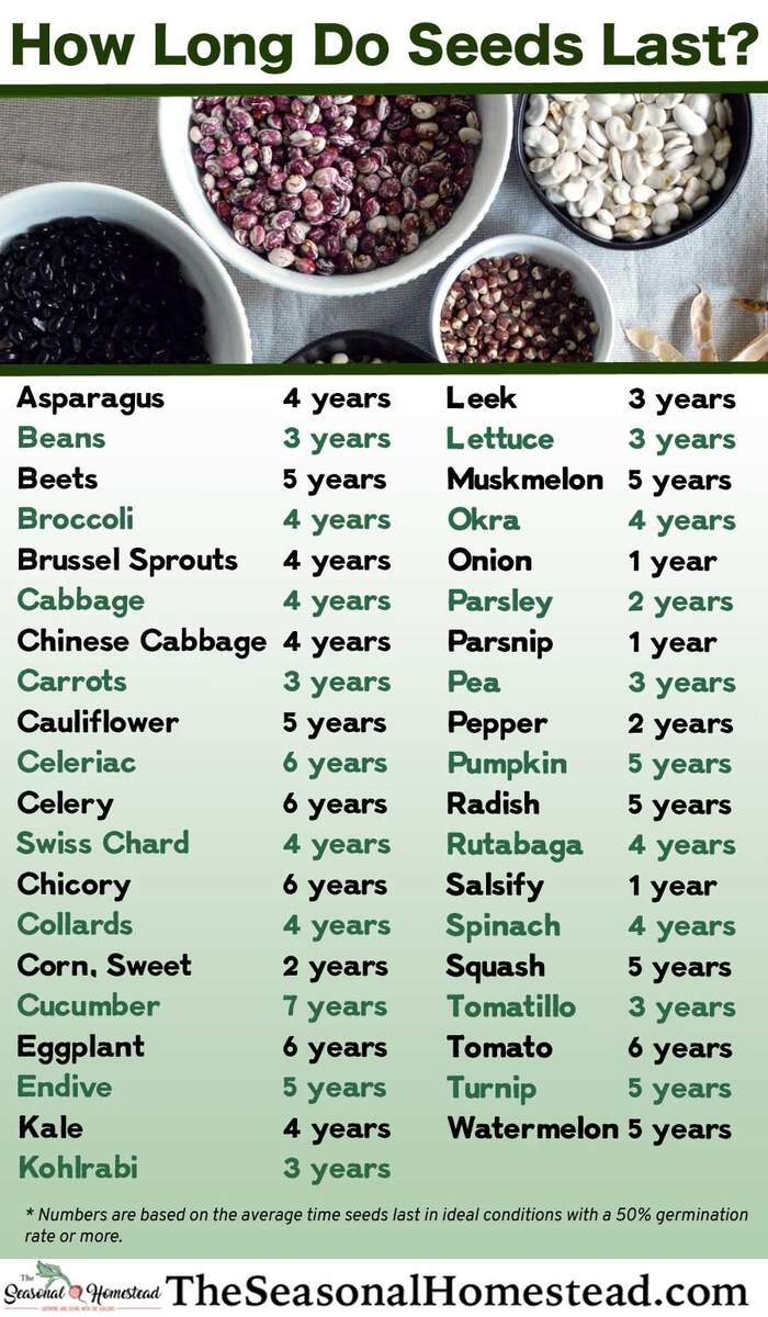 When To Start Seeds Indoors Planting Calendars For Every Zone Homestead And Chill