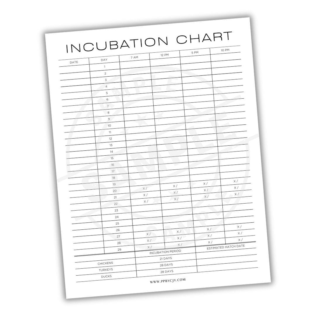 Printable Chicken Egg Incubation Calendar Etsy
