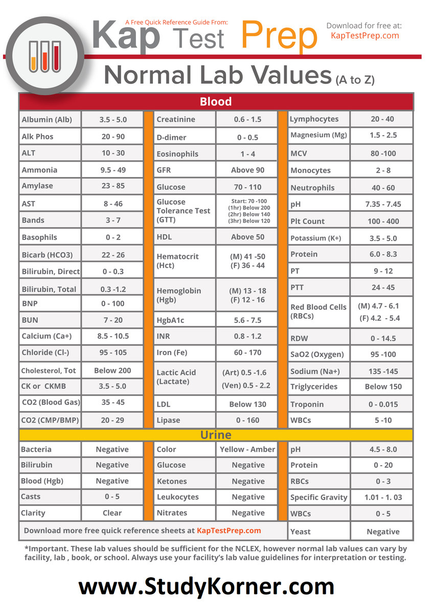 Essential Lab Values Digital Reference With Complete Blood Count Arterial Blood Gases And More Etsy Singapore