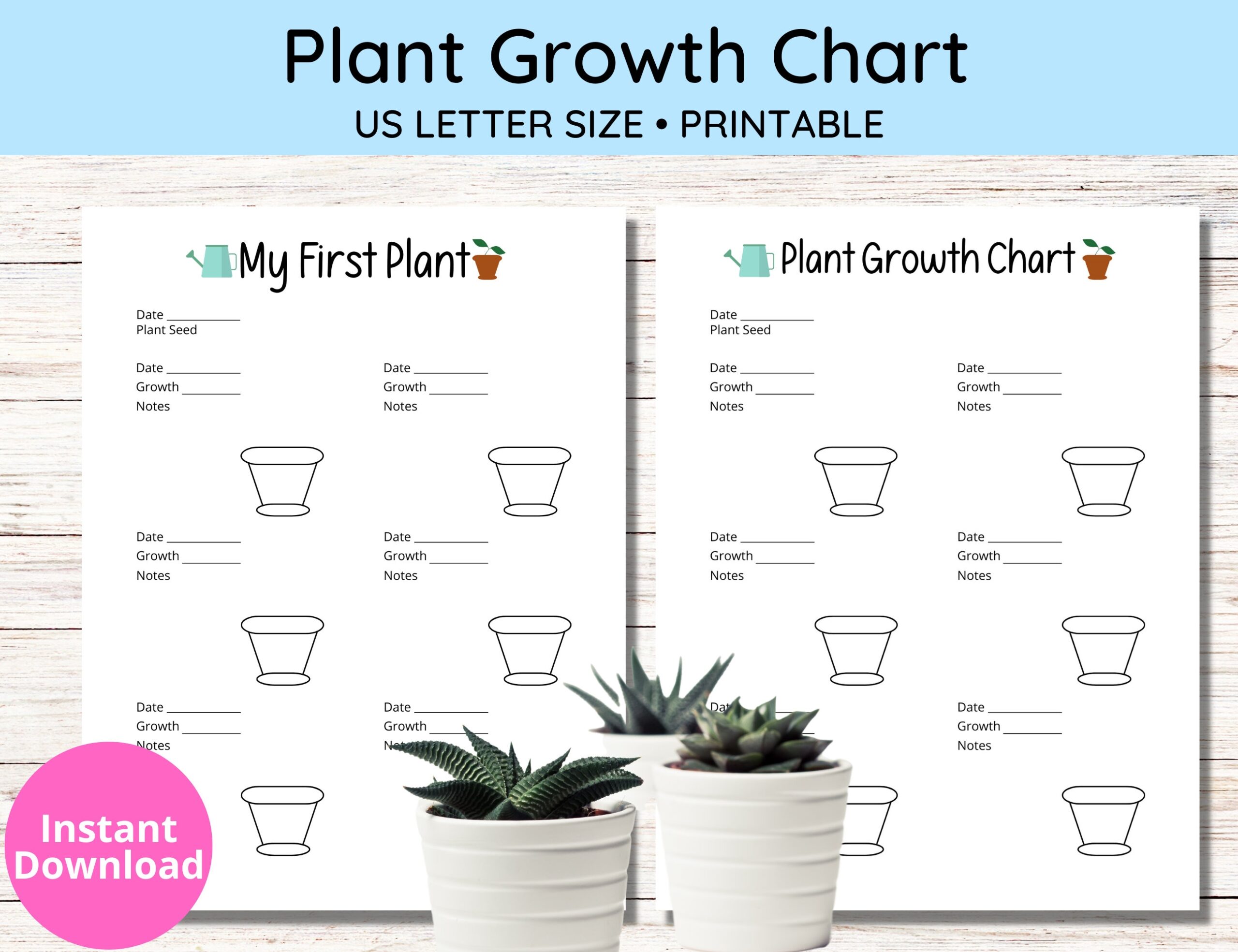 Plant Life Cycle Worksheet Bundle Free Printables