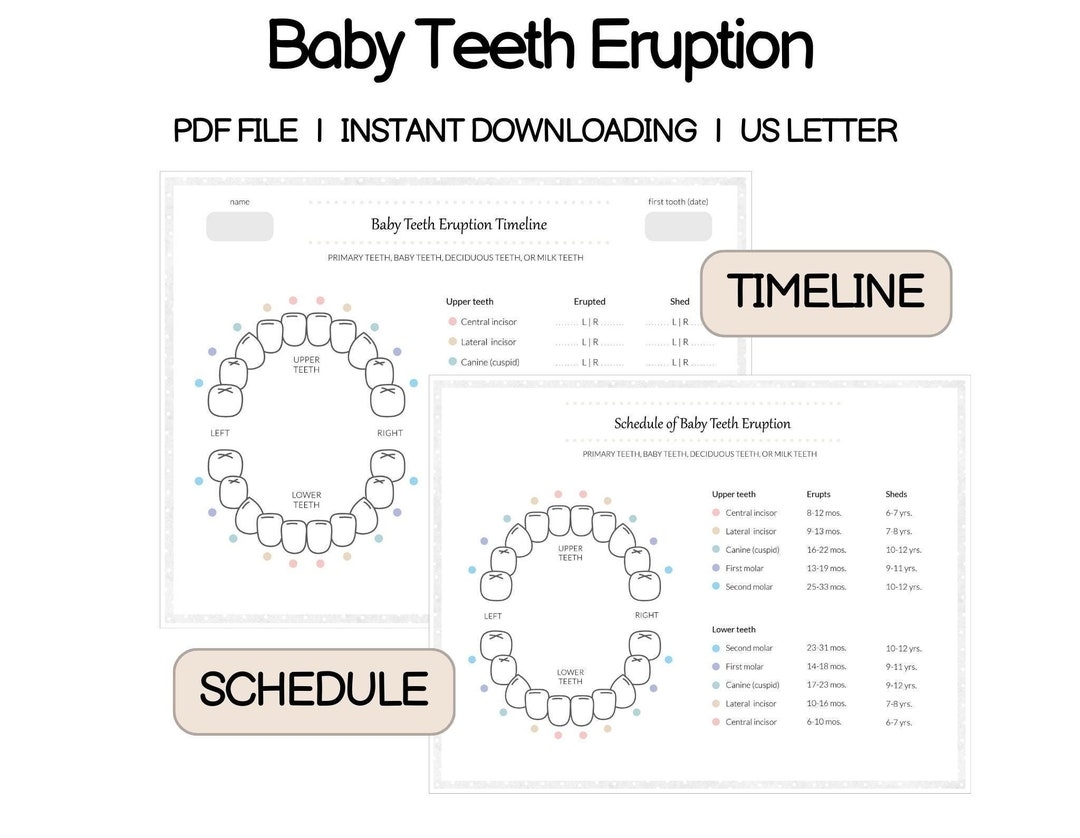 Printable Tooth Chart Stock Photos Free Royalty Free Stock Photos From Dreamstime