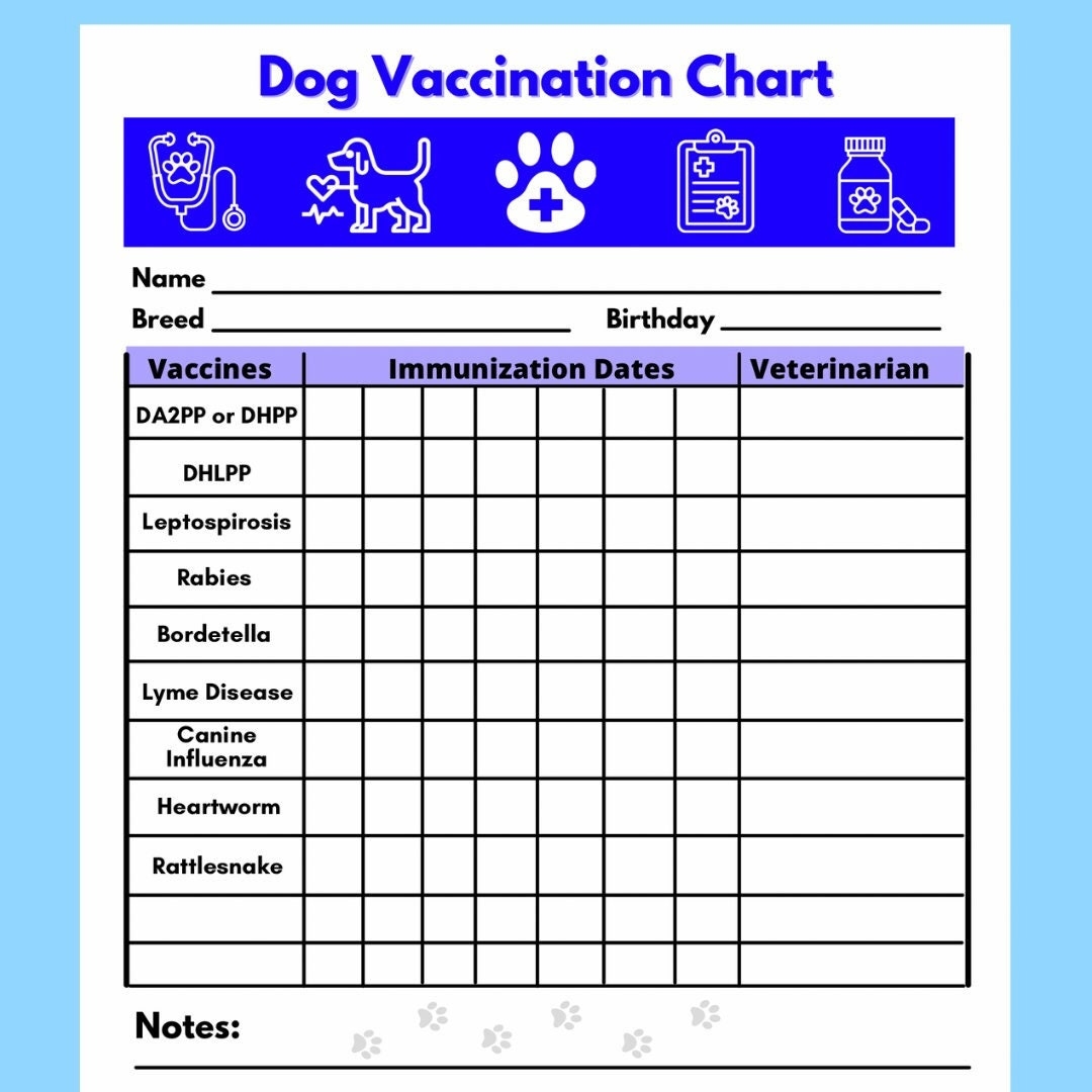 Printable Dog Puppy Vaccination Dates Puppy And Dog Vaccinations A Schedule For Every Life Stage PetMD