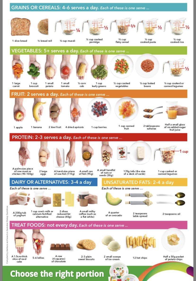 Recommend Daily Intake And Handy Portion Size Guide R coolguides