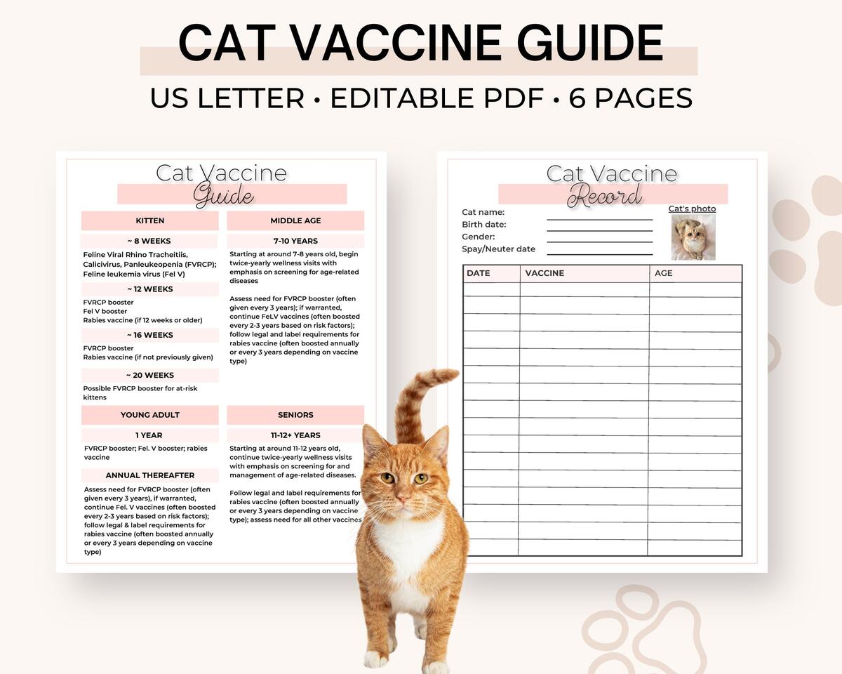 Schedule Kitten Jabs Buy Printable Cat Vaccine Health Record Pet Care Record Book