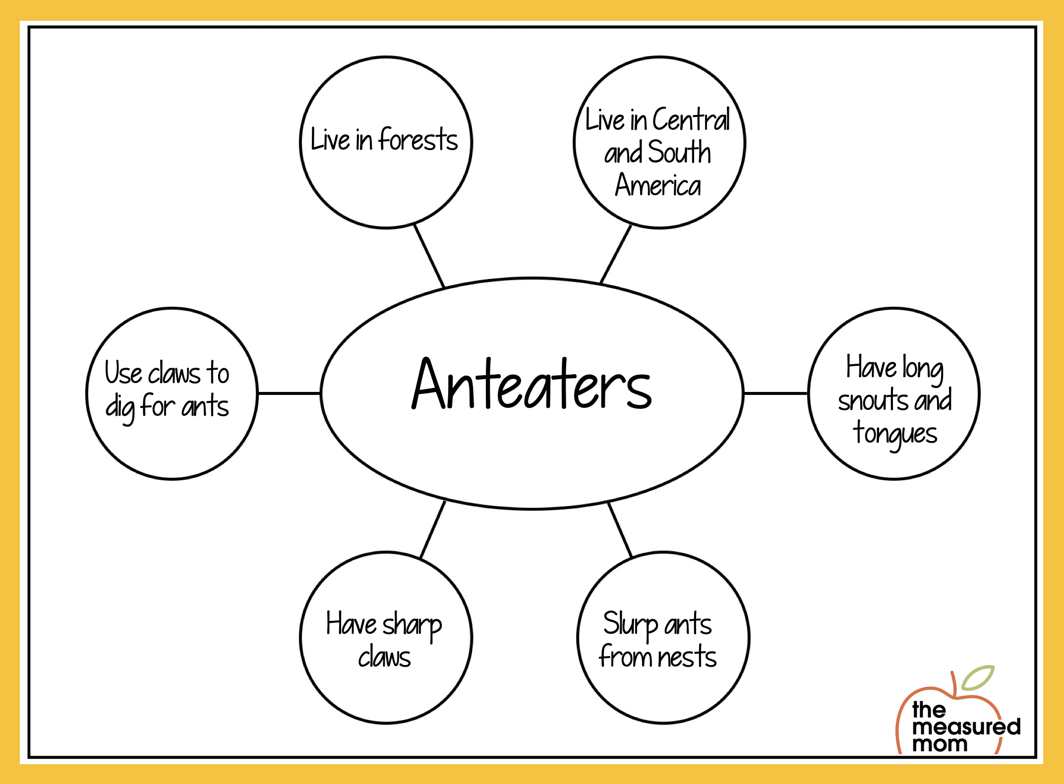 Printable 6th Grade Analyzing Text Structure Worksheets Worksheets Library