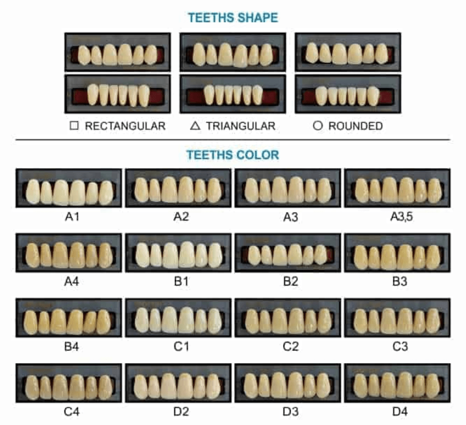 Teeth Shape And Teeth Color Chart Download Printable PDF Templateroller