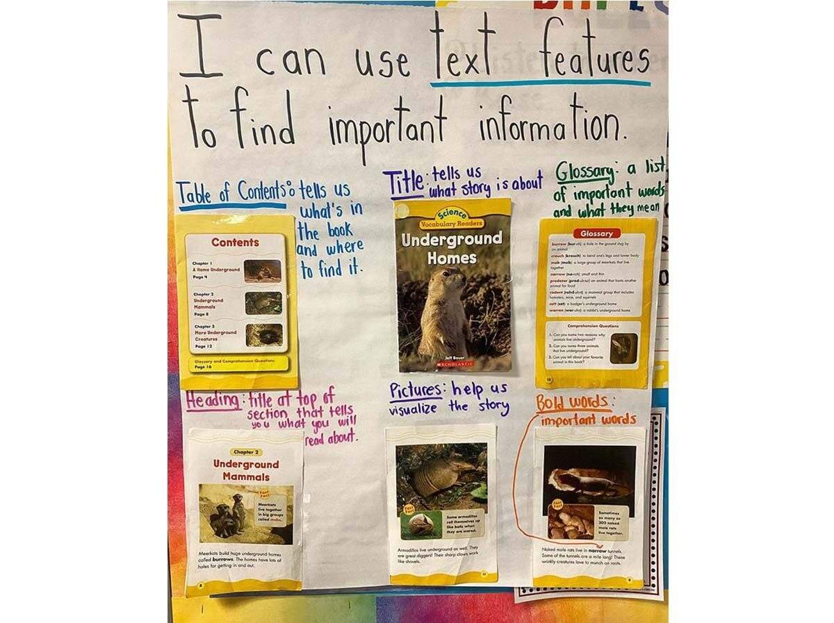 Text Feature Anchor Chart Ideas Hands On Activities Students Love Teach Starter