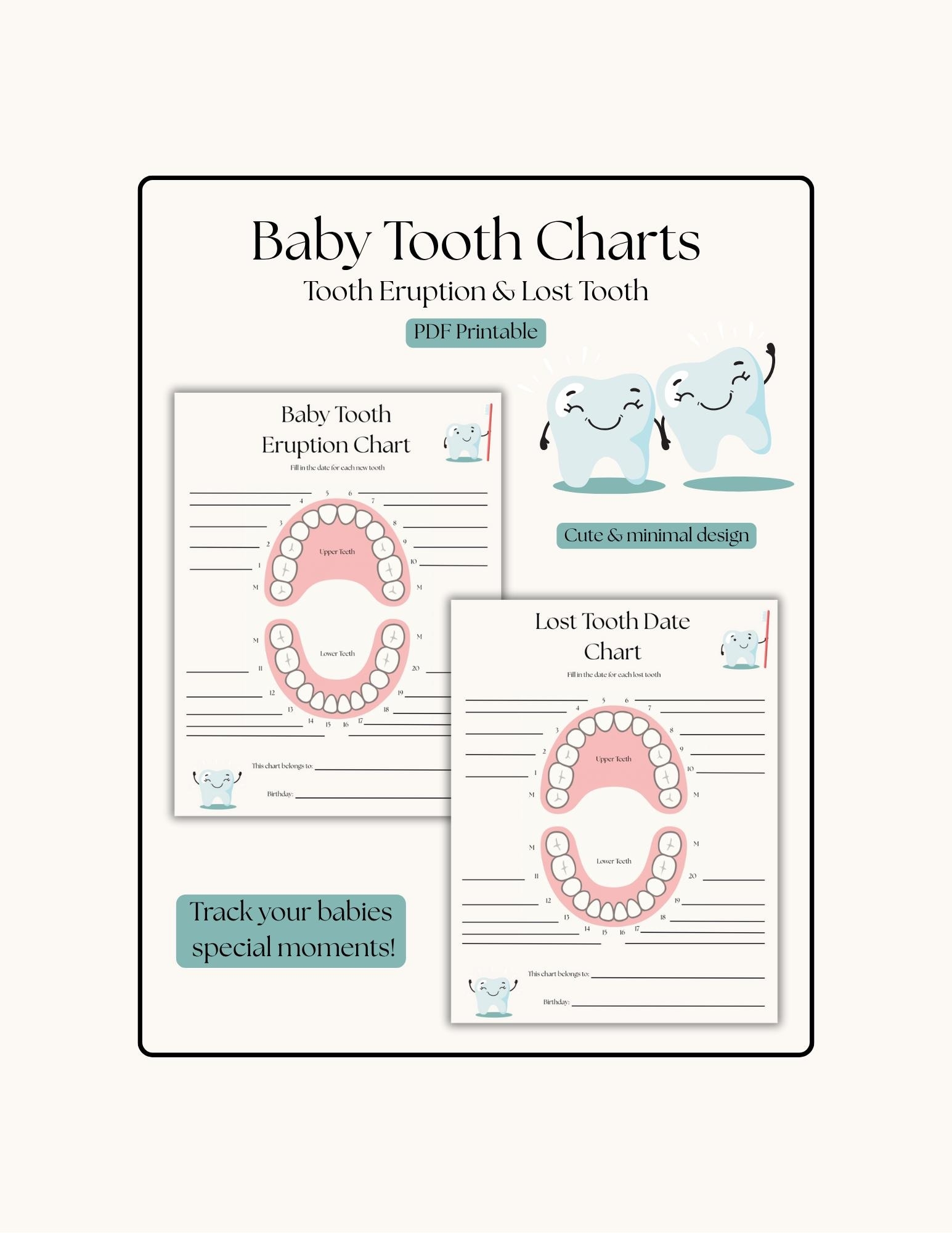 Tooth Eruption Chart Etsy