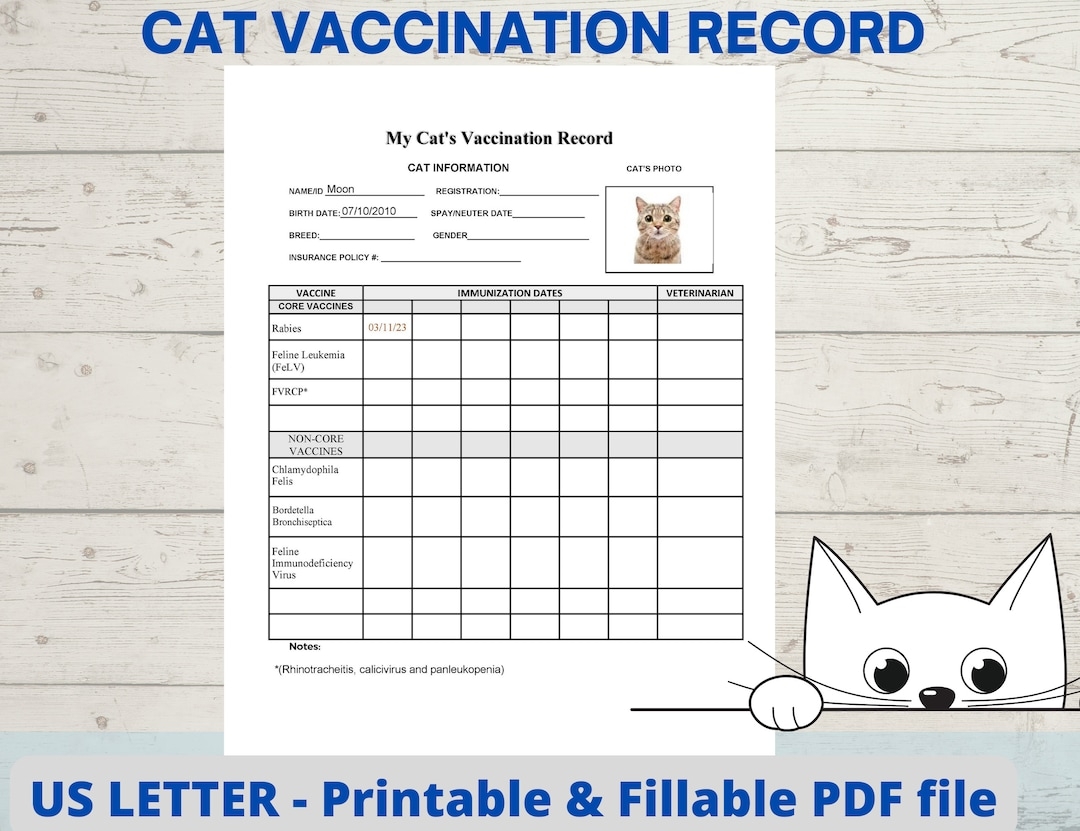 Schedule Kitten Jabs Buy Printable Cat Vaccine Health Record Pet Care Record Book