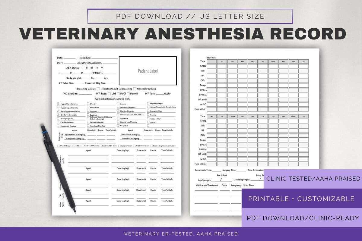 Vet Anesthesia Monitoring Sheet Customizable Surgery Record PDF Etsy Canada