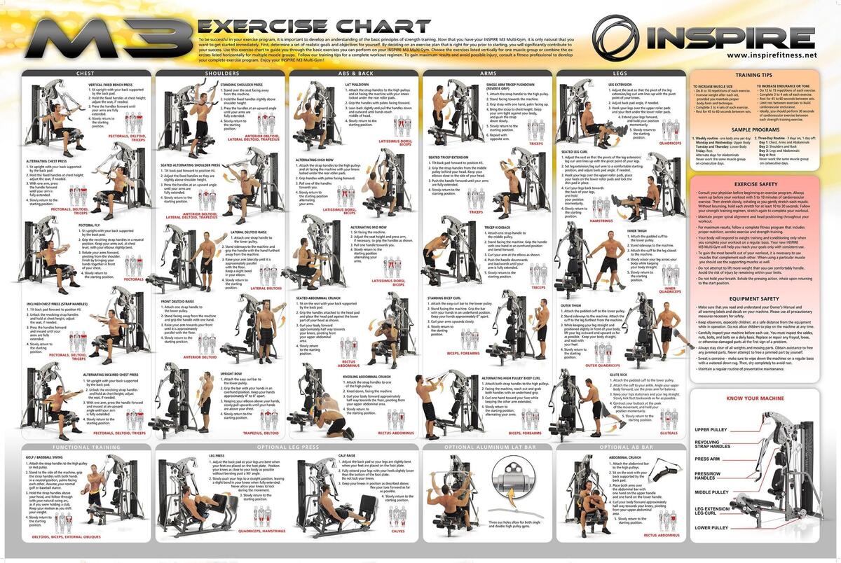 Weider Pro Weider Ultimate Body Works Chart Weider Ultimate Body Works