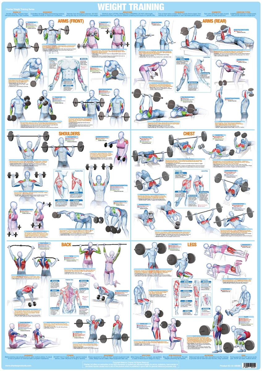 Workout Chart Full Body Dumbbell And Barbell Workout Barbell Workout Full Body Dumbbell Workout Routine At